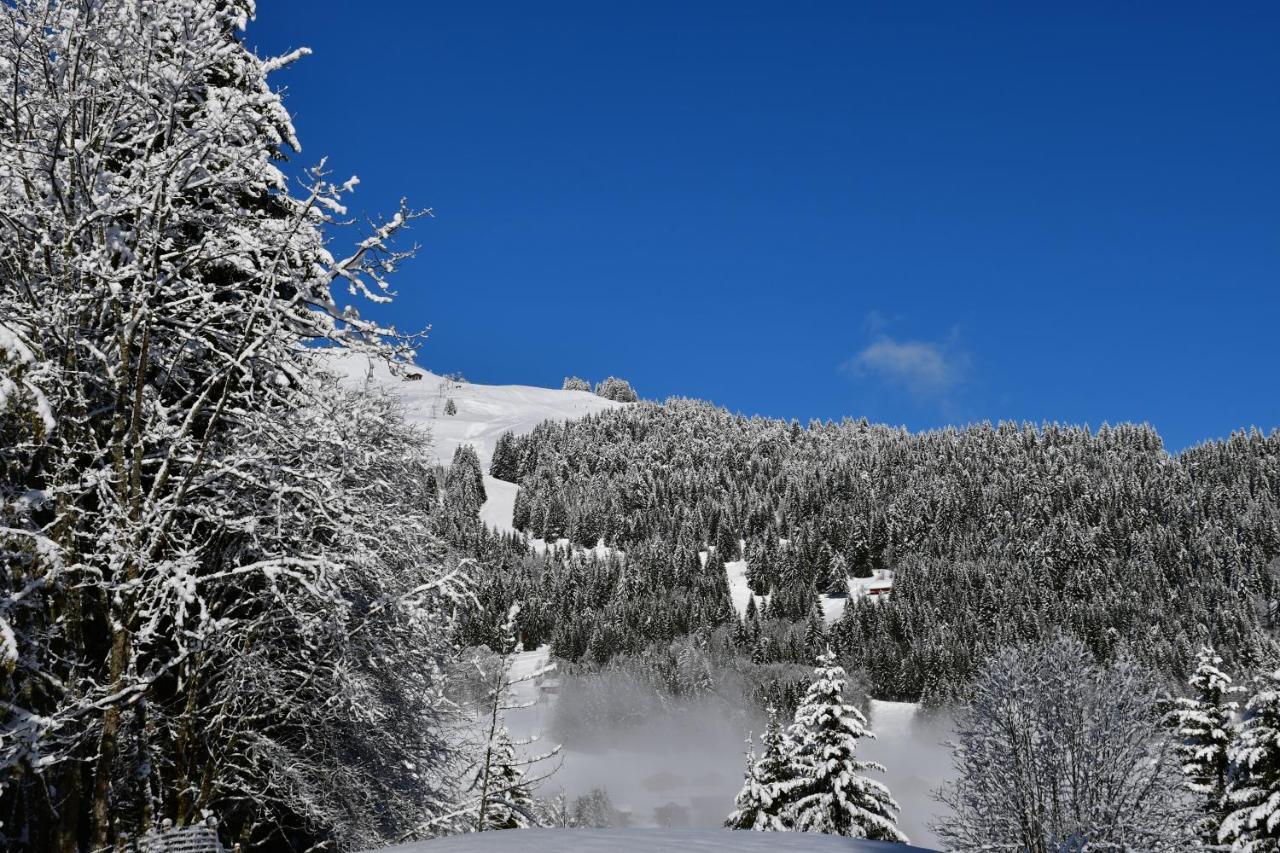 Chalet Orlando 레게츠 외부 사진